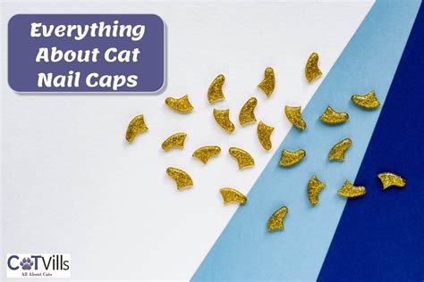 Cat Nail Caps: Everything You Need to Know