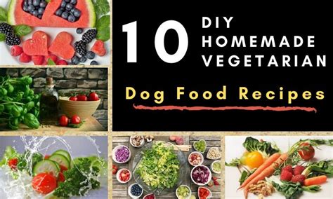 Top 10 Homemade Vegetarian Dog Food Recipes - DogTipsy