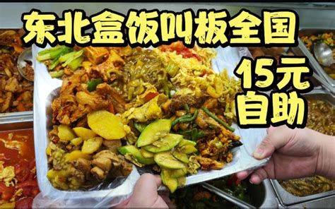 东北自助盒饭挑战全国，不限时畅吃溜肉段回锅肉炖鸡腿，鱼香肉丝，炸刀鱼 胖虎老刘 胖虎老刘 哔哩哔哩视频