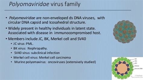 Pathology of JC Virus