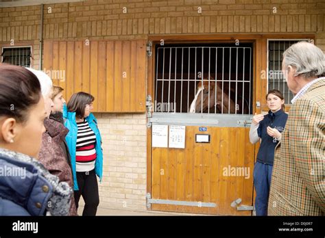 Caballos Enfermos Fotografías E Imágenes De Alta Resolución Alamy