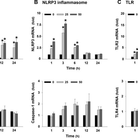 Mrna Expression Levels Of Pro Inflammatory Cytokines A Components Of