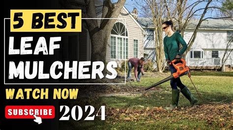 The Best Leaf Mulcher On Leaf Mulchers Review Leaf Mulchers