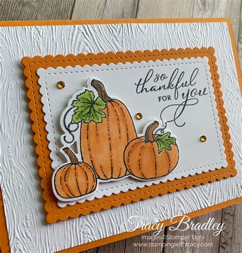 Stampin Up Pretty Pumpkins Bundle Stamping With Tracy