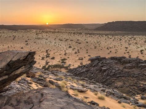 Mauritanie A Limage Le D Sert Du Plateau De Ladrar Les Grandes