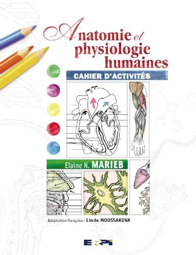 Cahier TD Anatomie Et Physiologies Humaines BIOLOGIE French Edition