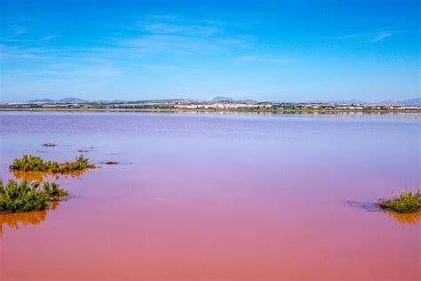 The 14 Best Pink Lakes In The World