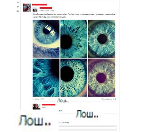Грамотей. | Пикабу