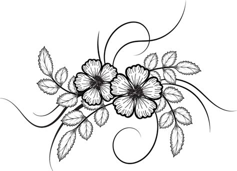 Flowers For Drawing PNG Images Transparent Background | PNG Play