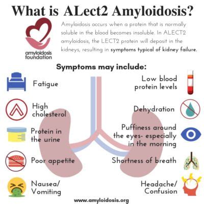 Other Types Of Amyloidosis Amyloidosis Foundation