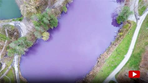 Naturphänomen Lila See in Bayern lockt viele Schaulustige an Video