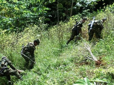 Ejército Destruyó Depósito Ilegal De Las Disidencias De La Farc En Cauca