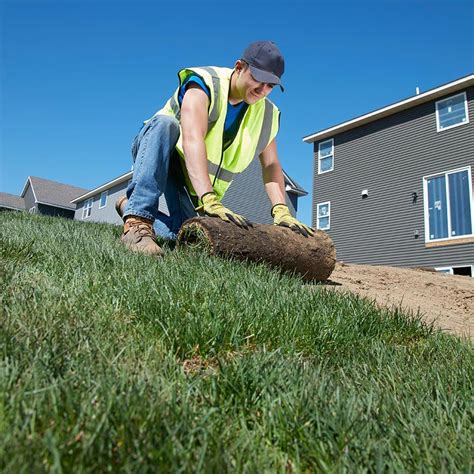 Everything To Know Before Laying Sod How To Lay Sod How To Lay Sod