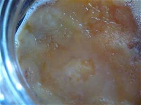 Kombucha Recipe - A Fermented Kombucha Tea Recipe