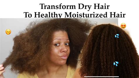 Watch Me Transform My Dry Hair Into Moisturized Healthy Hair Wash Day