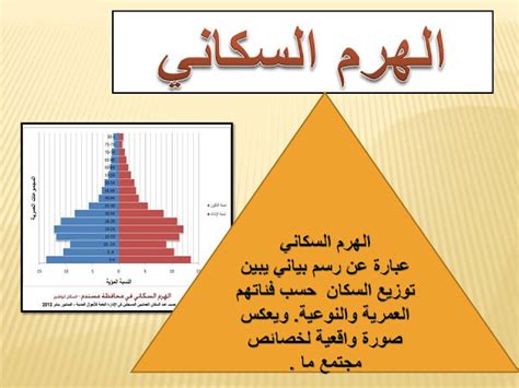 الصف التاسع الأساسي أ خلفان السلطي الدرس الثالث الهرم السكاني الحصة الأولى مفهوم الهرم