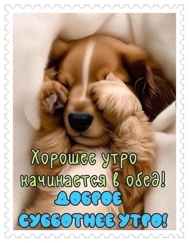Открытка Доброе субботнее утро!