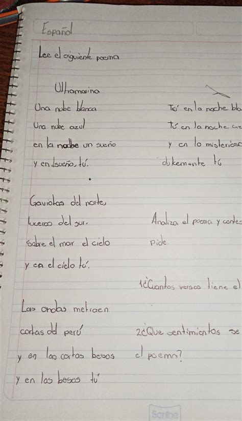 Cu Ntos Versos Tiene El Poema Brainly Lat