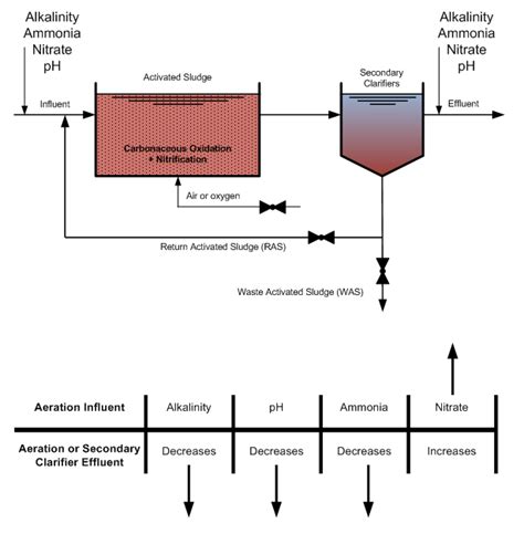 Nitrogen Cycle