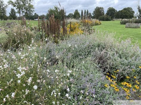 Le Jardin Des Deux Rives Strasbourg Kehl Les Jardins De Malorie