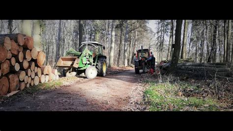 Grüner Hirsch und rote Raubkatze im Wald John Deere 3130 und Same