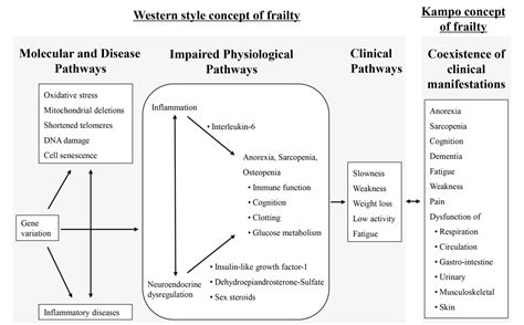 Figure 1 From Clinical Practice Guidelines And Evidence For The