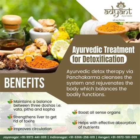 Best Panchakarma Treatment Centre In Bangalore Adyant Ayurveda