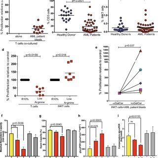 Ass Catabolises Citrulline In Inkt Cells A Confocal Microscopy Of