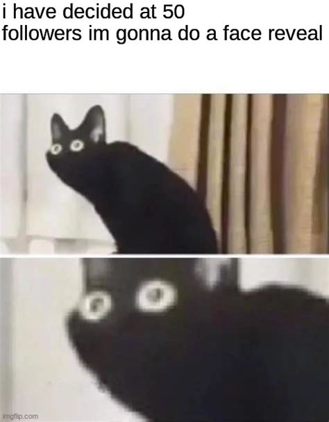 Oh No Black Cat Imgflip