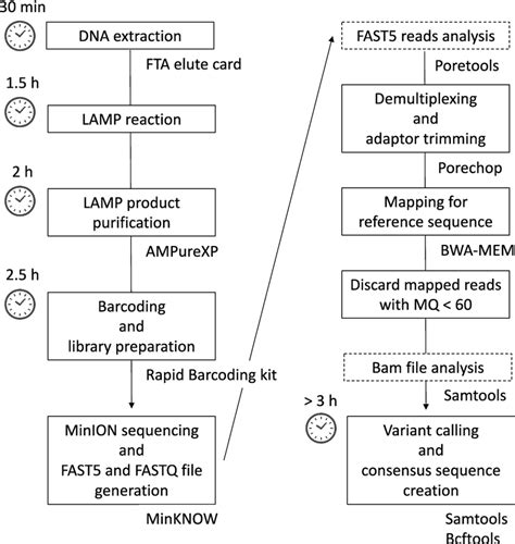 Schematic Of The Data Analysis Workflow In This Study Download