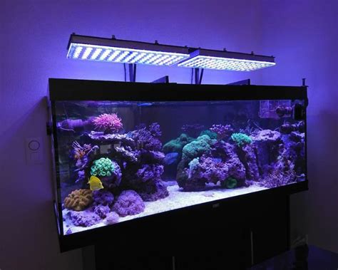 Rekomendasi Lampu Aquarium LED Hemat Energi Harga