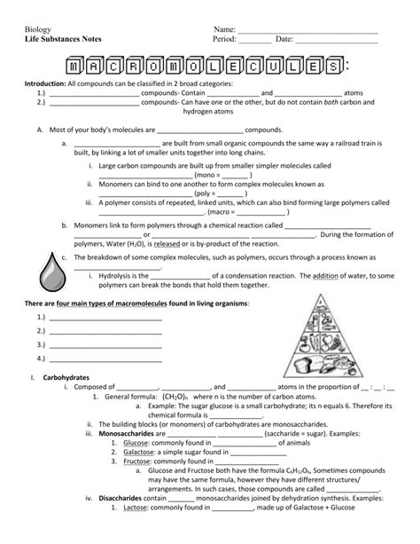 Building Macromolecules Student Notes And Review Questions Updated 2020