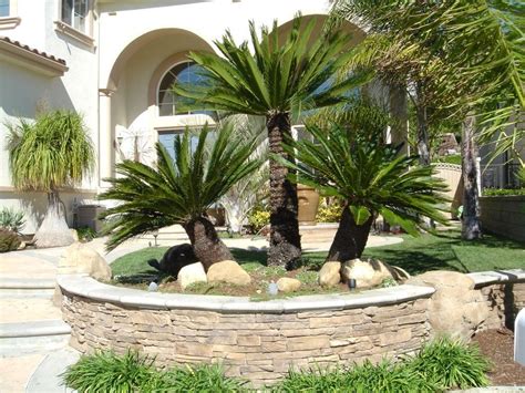 32 Palm Tree Garden Ideas : Garden Design