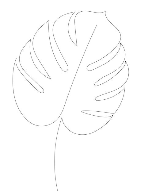 Vector De Hoja De Monstera En Un Dibujo De Contorno Continuo De Una