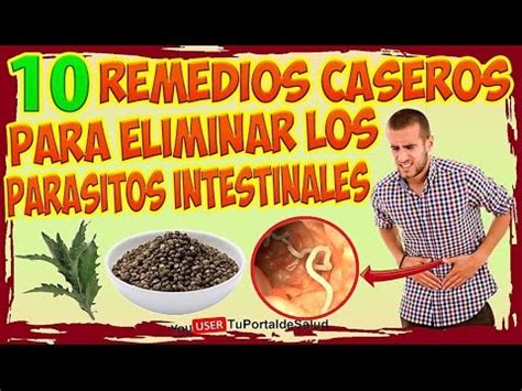 Elimina Los Parasitos Y Lombrices Intestinales Con Estos 10 Remedios