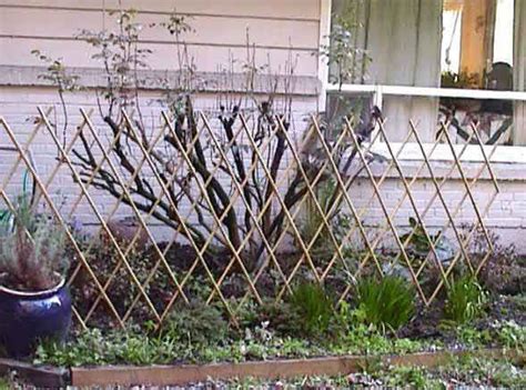 Bamboo Trellis Fence Bamboo Trellis Trellis Fence Trellis