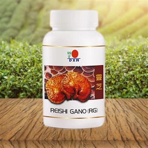 Reishi Gano Rg Dxn Beneficios Que Es Para Que Sirve Como Tomarlo