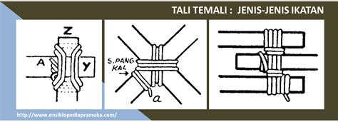 Sejarah Pramuka Tali Temali Jenis Jenis Ikatan