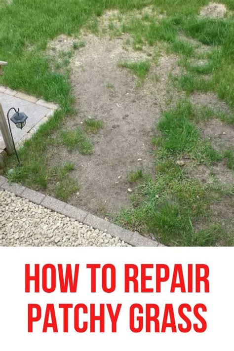 Repair Patchy Grass With Seed And Sod