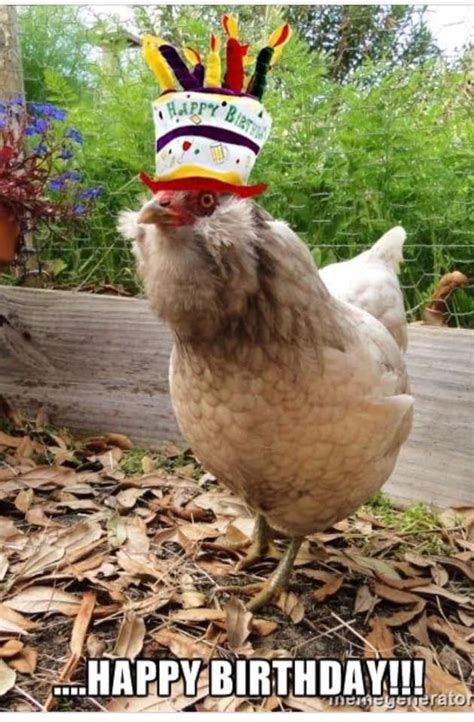 Pin By Christy Wiggins On Birthday Happy Birthday Chicken Birthday