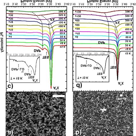 Sem Images Of The Zno And Zncdo Nanowires On Substrate Sio Si Grown