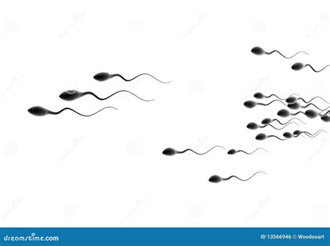 Human Sperm And Egg Fusion Diagram Cartoon Vector