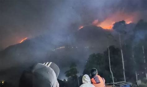 Kebakaran Gunung Merbabu Capai 489 07 Hektare Kanalindonesia