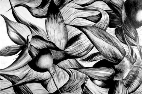 Organic Forms Illustrations Tiffany Blaise Organic Form Natural