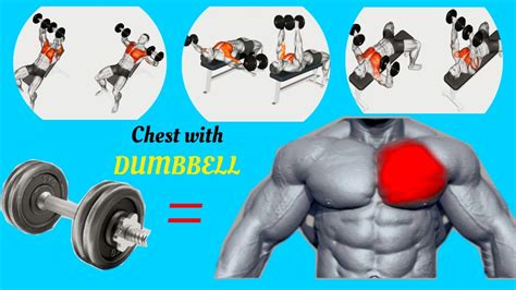 How To Get Good Chest Muscles At Susan Dilorenzo Blog