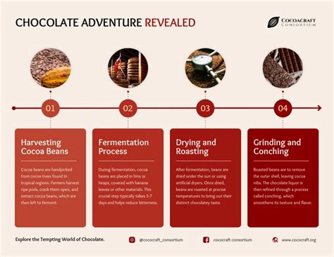 Infographie Du Voyage Au Chocolat Venngage