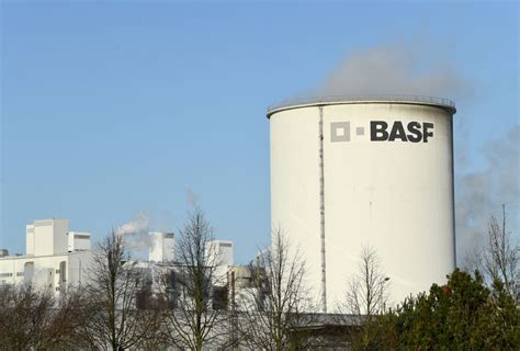 Basf Could Cut Output Further Amid Fragile Gas Supply The Credit