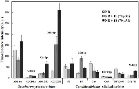 Influence Of Selected Chalcones On Nile Red Accumulation In Drug Efflux