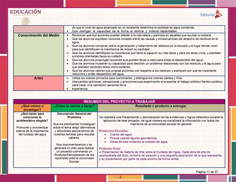 Programa Analitico Primaria 2024 2025 Contestado