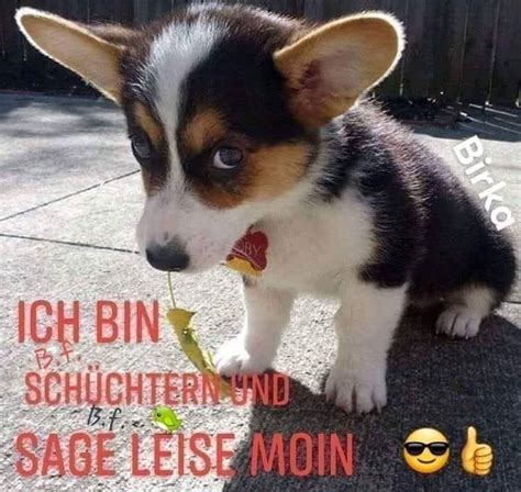 Pin Von Herta Winnisch Auf Guten Morgen Niedlich Guten Morgen Guten